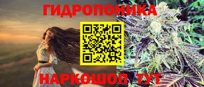 ECSTASY Чебоксары