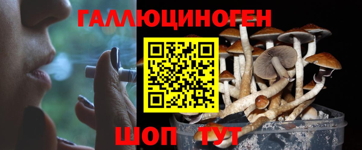 Москва  Галлюциногенные грибы MAGIC MUSHROOMS  Вход с VPN 